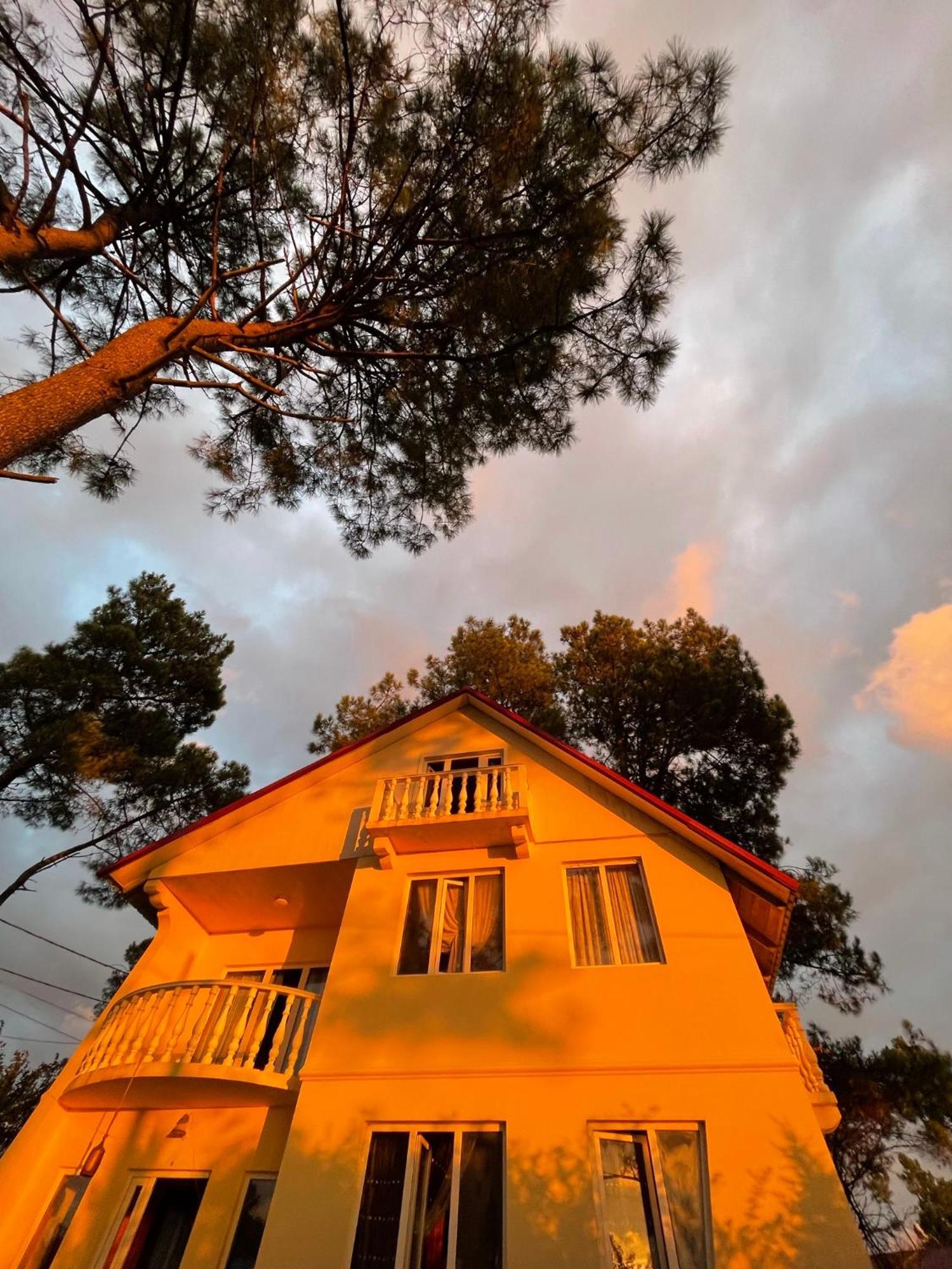 Kaprovani Villa 22 Shekvetili Dış mekan fotoğraf