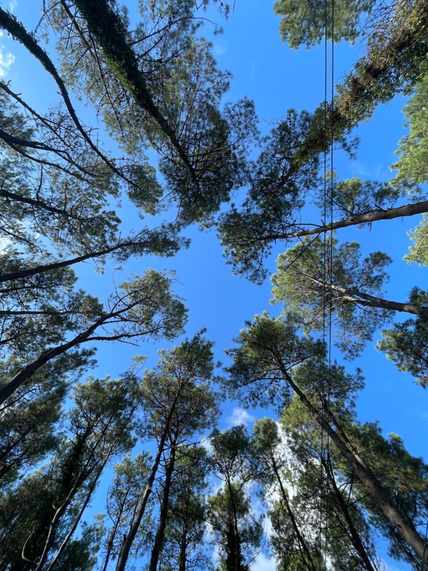 Kaprovani Villa 22 Shekvetili Dış mekan fotoğraf