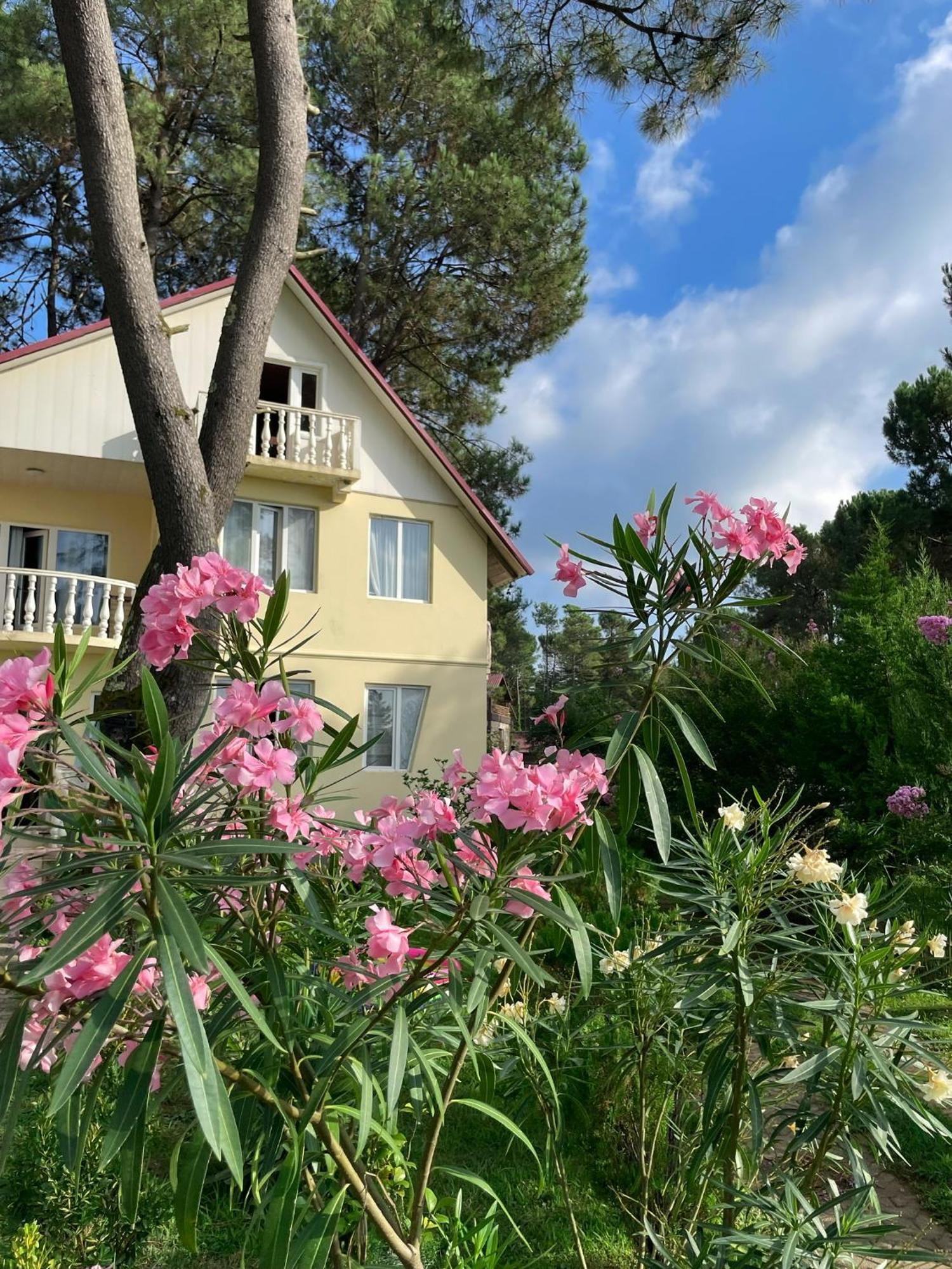 Kaprovani Villa 22 Shekvetili Dış mekan fotoğraf