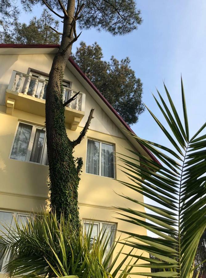 Kaprovani Villa 22 Shekvetili Dış mekan fotoğraf